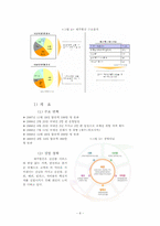 제주항공 마케팅전략-11