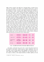 IMC전략과 MPR(싸이월드 성공사례)-3