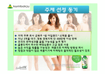 금복주 `참 아일랜드` 시장확대를 위한 아이디어&프로모션 전략-3