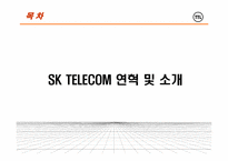 [전략경영] SK텔레콤 TTL의 차별화 마케팅-4
