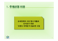 [마케팅전략론] 데톨의 장기적 성장을 위한 브랜드 마케팅 전략-4