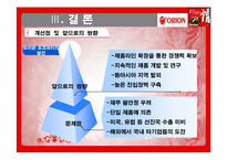 [해외시장조사론] 오리온 초코파이 분석-10