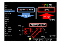 [마케팅] 건강음료 신제품 개발 계획-10
