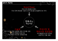 [국제경영] 설화수 일본진출-11