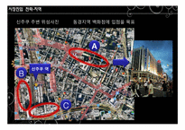 [국제경영] 설화수 일본진출-17