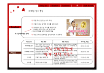 미스터피자 마케팅 분석-12