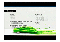HYUNDAI(현대자동차)와 TOYOTA(도요타)의 하이브리드 자동차 비교분석-3