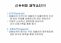[경영분석] 11장 신용분석과 평가-8