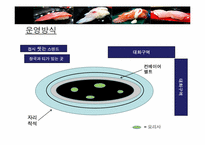 100엔 스시 하우스 서비스개발-7