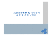 [조직구조론] 이랜드(E-Land) 사례문제 해결-1