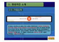 [마케팅전략] 핫썬 HOT SUN 치킨 마케팅전략-3
