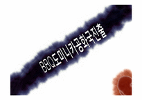 [국제경영론] 비비큐 BBQ치킨 도미니카 진출 전략-3