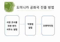 [국제경영론] 비비큐 BBQ치킨 도미니카 진출 전략-5
