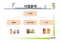 빙그레 마케팅전략-6