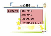 빙그레 마케팅전략-12