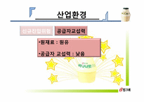 빙그레 마케팅전략-13