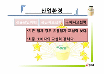 빙그레 마케팅전략-14