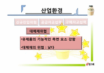빙그레 마케팅전략-15