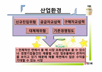 빙그레 마케팅전략-18