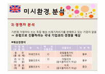 [국제마케팅] 루펜의 영국 진출-12