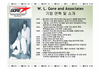 [전략경영] W. L. Gore and Associates 코어덱스 성공전략-3