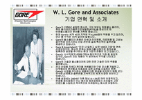 [전략경영] W. L. Gore and Associates 코어덱스 성공전략-4