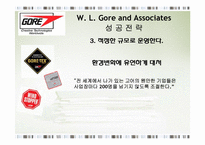[전략경영] W. L. Gore and Associates 코어덱스 성공전략-9