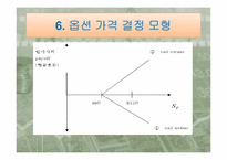 [경영분석] 8장 증권가격의 결정-20