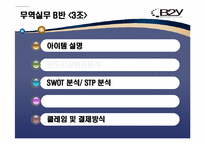 [무역실무] 미용용품 `B2Y 헤어 아이론` 인도시장-2