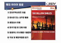 [무역실무] 미용용품 `B2Y 헤어 아이론` 인도시장-13