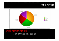 [마케팅전략](주)세라젬 해외진출전략-10