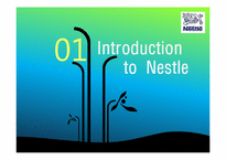 [국제경영] 네슬레 Nestle 성공전략, 제 3세계로의 진출과 실패-4