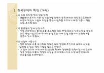 [국제경제론] 각국의 무역 정책-15