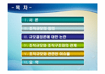 제6장. 조직규모-5