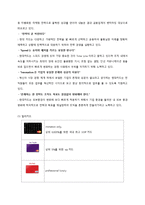 현대카드 마케팅전략-10