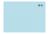 [관광정책론] 관광정책과 도시마케팅-2