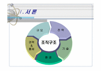 [조직구조론] 조직규모-2