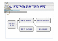 [조직구조론] 조직규모-12