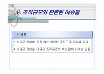 [조직구조론] 조직규모-17