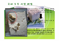[국제경영] 풀무원 미국시장 진출 전략-5