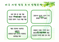 [국제경영] 풀무원 미국시장 진출 전략-18