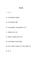 UCC 저널리즘의 미래-2