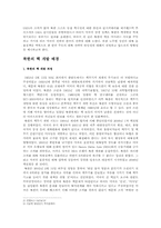 [비교정치] 북핵에 대응하는 한미 전략의 비교와 방향성-2