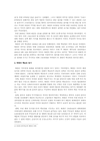 [비교정치] 북핵에 대응하는 한미 전략의 비교와 방향성-3