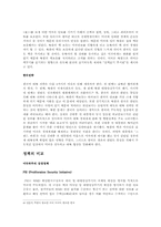 [비교정치] 북핵에 대응하는 한미 전략의 비교와 방향성-5