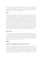 [비교정치] 북핵에 대응하는 한미 전략의 비교와 방향성-8