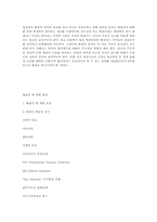 [비교정치] 북핵에 대응하는 한미 전략의 비교와 방향성-10