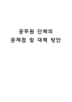공무원 단체의 문제점 및 대책 방안-1