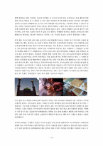 [도시] 다문화와 단일문화 공간, 이태원-10