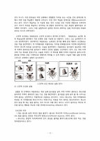 [인간행동] 스키너 생애와 이론-13